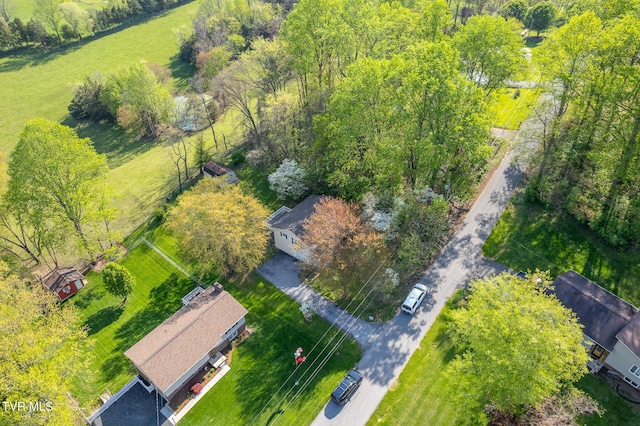 bird's eye view