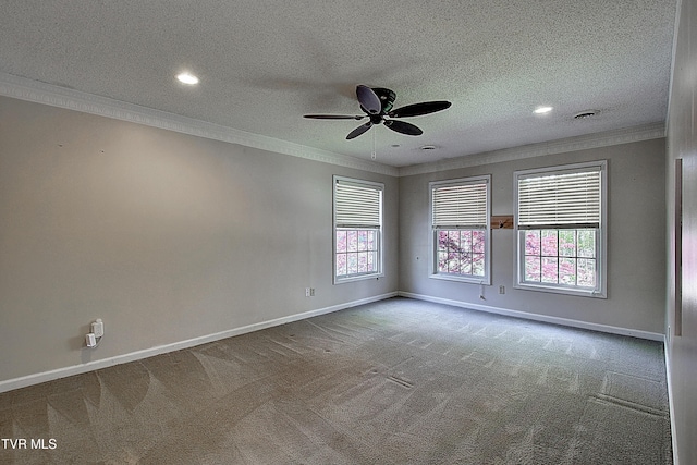 455 Carlton Rd, Bristol, TN 37620 - carpeted spare room with ceiling fan, baseboards, ornamental molding, and plenty of natural light