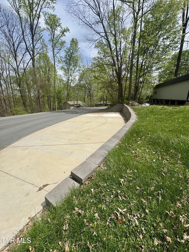 455 Carlton Rd, Bristol, TN 37620 - view of road