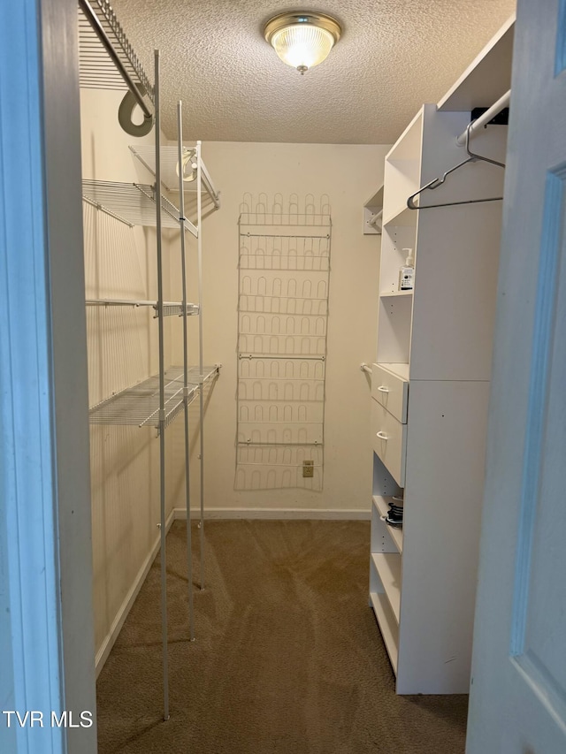 455 Carlton Rd, Bristol, TN 37620 - walk in closet with carpet