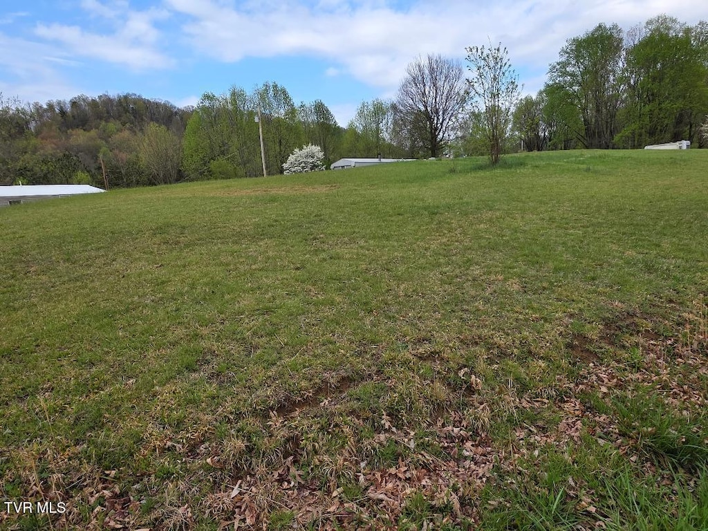 TBD Yard Hill Rd, Elizabethton, TN 37643