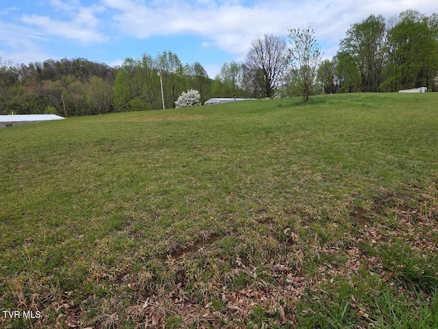 TBD Yard Hill Rd, Elizabethton, TN 37643