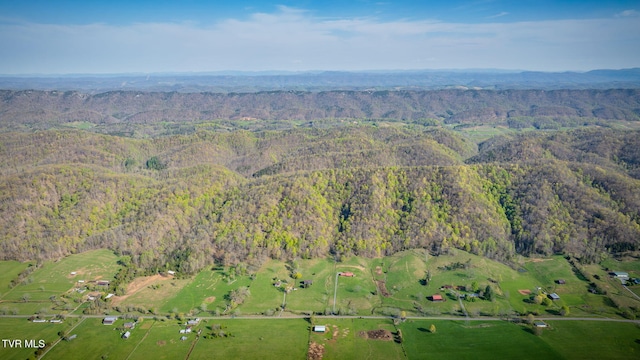 TBD Stanley Valley Rd, Surgoinsville, TN 37873 - photo 5