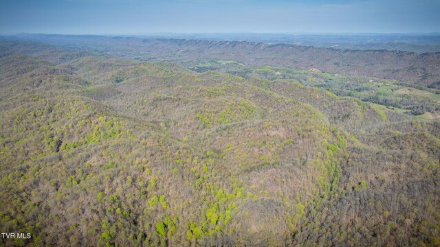 TBD Stanley Valley Rd, Surgoinsville, TN 37873 - photo 8