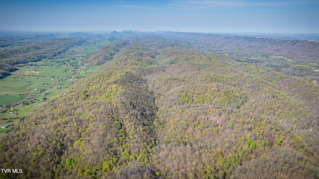 TBD Stanley Valley Rd, Surgoinsville, TN 37873 - photo 9