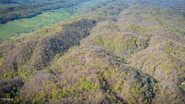 TBD Stanley Valley Rd, Surgoinsville, TN 37873 - photo 11