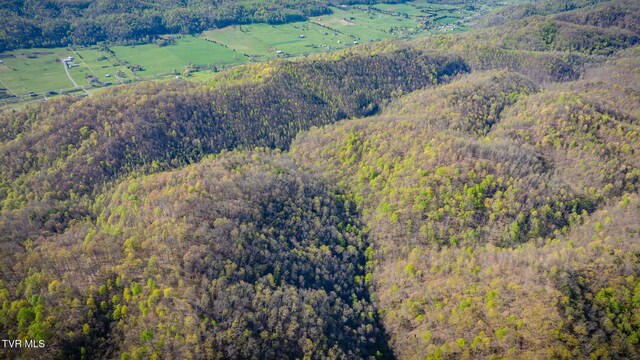 TBD Stanley Valley Rd, Surgoinsville, TN 37873 - photo 12