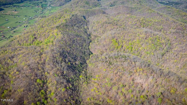 TBD Stanley Valley Rd, Surgoinsville, TN 37873 - photo 13