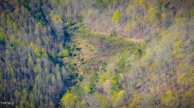 TBD Stanley Valley Rd, Surgoinsville, TN 37873 - photo 14