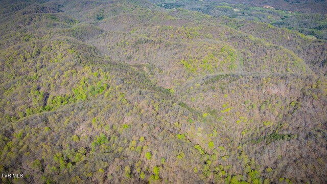 TBD Stanley Valley Rd, Surgoinsville, TN 37873 - photo 15