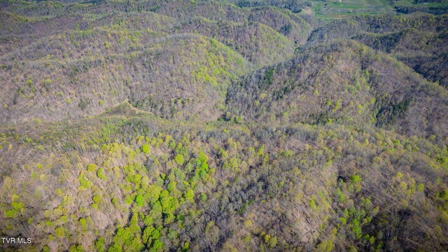 TBD Stanley Valley Rd, Surgoinsville, TN 37873 - photo 16