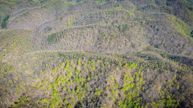 TBD Stanley Valley Rd, Surgoinsville, TN 37873 - photo 17