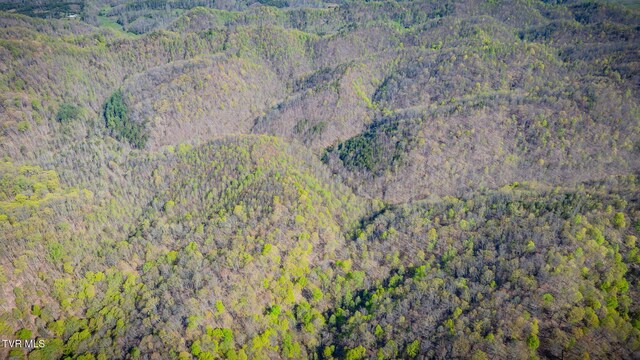 TBD Stanley Valley Rd, Surgoinsville, TN 37873 - photo 18