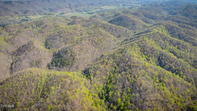 TBD Stanley Valley Rd, Surgoinsville, TN 37873 - photo 19