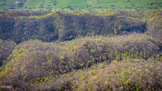 TBD Stanley Valley Rd, Surgoinsville, TN 37873 - photo 22