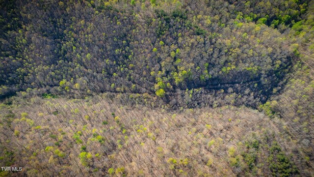 TBD Stanley Valley Rd, Surgoinsville, TN 37873 - photo 24