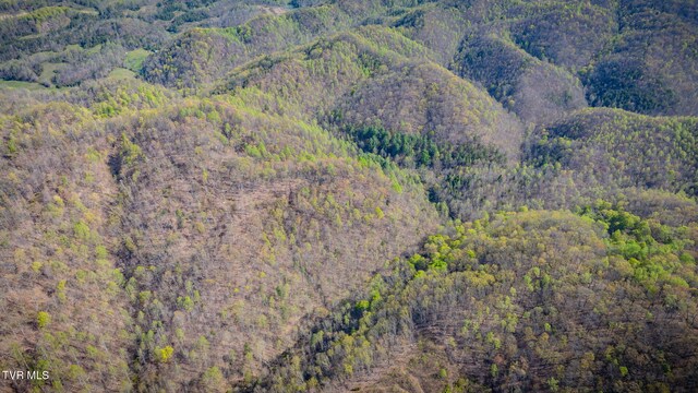 TBD Stanley Valley Rd, Surgoinsville, TN 37873 - photo 26