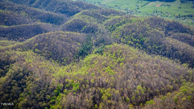 TBD Stanley Valley Rd, Surgoinsville, TN 37873 - photo 28