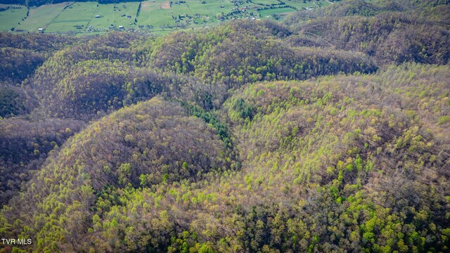 TBD Stanley Valley Rd, Surgoinsville, TN 37873 - photo 29
