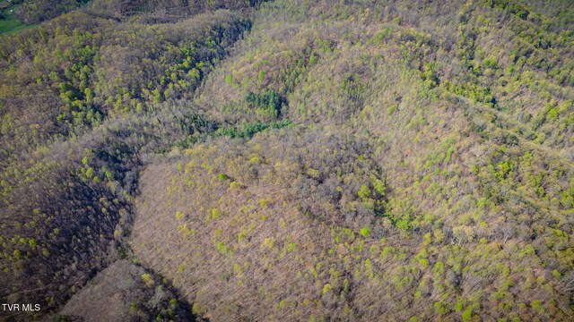 TBD Stanley Valley Rd, Surgoinsville, TN 37873 - photo 30