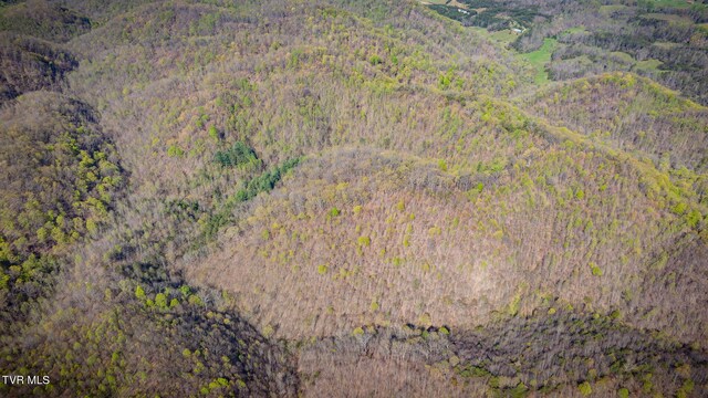 TBD Stanley Valley Rd, Surgoinsville, TN 37873 - photo 31