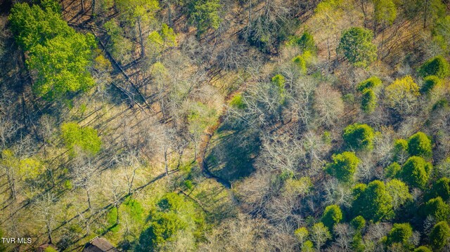 TBD Stanley Valley Rd, Surgoinsville, TN 37873 - photo 32