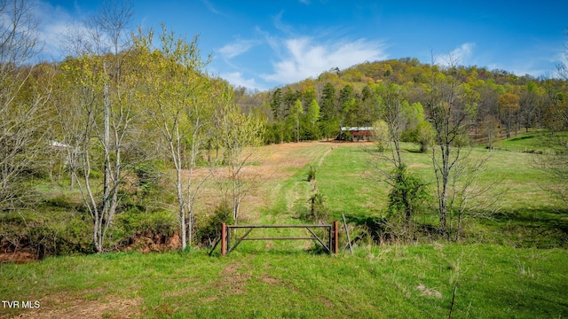 TBD Stanley Valley Rd, Surgoinsville, TN 37873 - photo 1