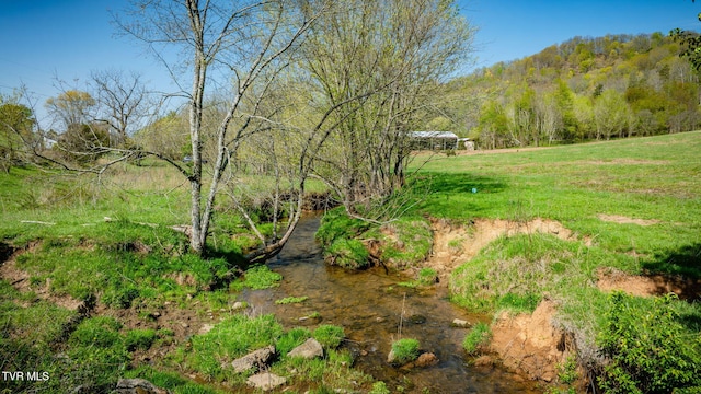 TBD Stanley Valley Rd, Surgoinsville, TN 37873 - photo 3