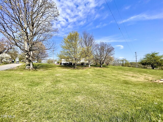 446 Bethel Rd, Nickelsville, VA 24271 - photo 22