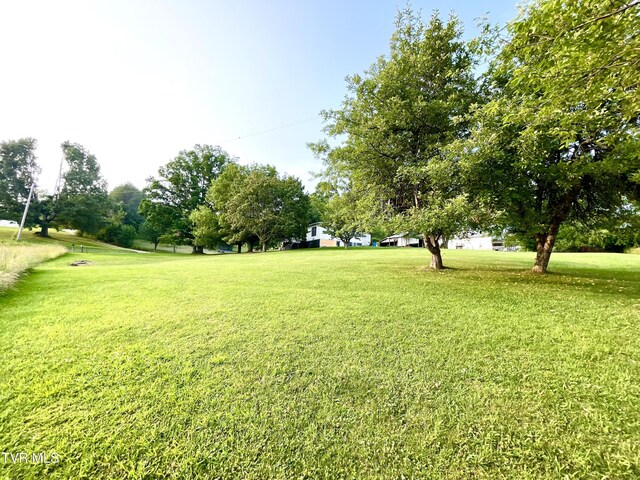 446 Bethel Rd, Nickelsville, VA 24271 - photo 34