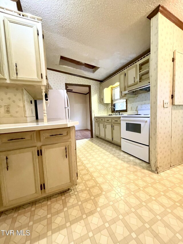 446 Bethel Rd, Nickelsville, VA 24271 - photo 5