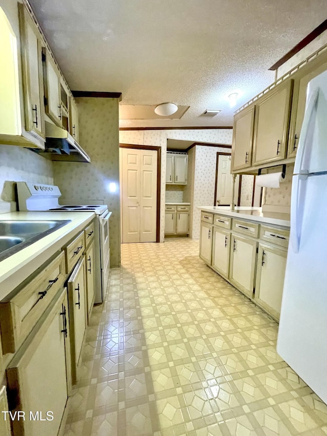 446 Bethel Rd, Nickelsville, VA 24271 - photo 6