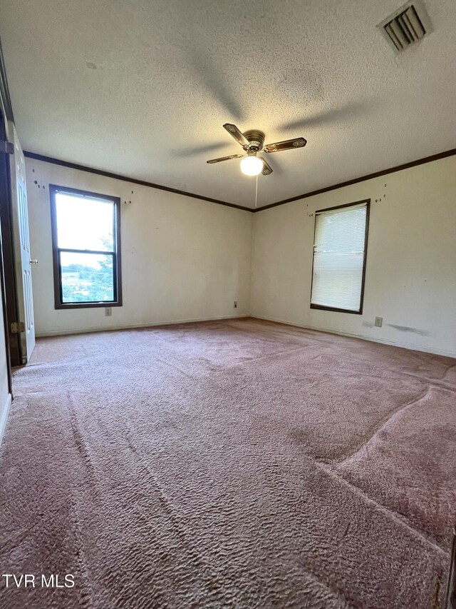446 Bethel Rd, Nickelsville, VA 24271 - photo 12