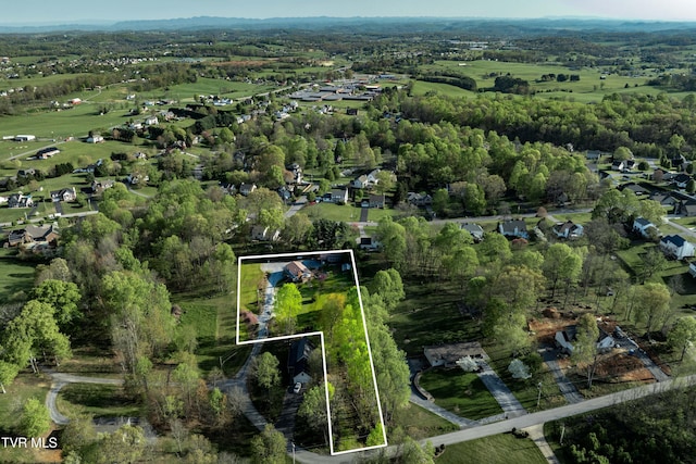 drone / aerial view