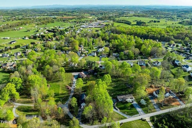 drone / aerial view