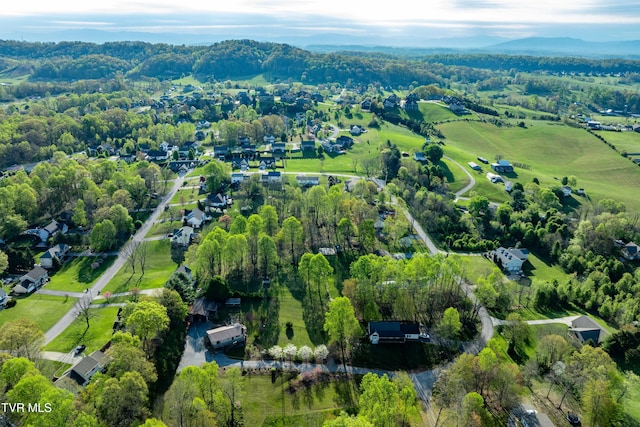 drone / aerial view with a mountain view