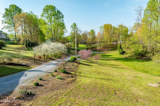 view of home's community with a lawn