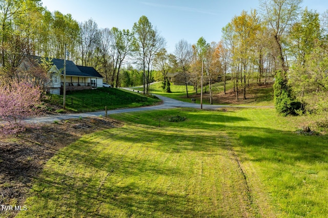 surrounding community featuring a yard