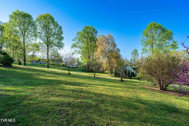 view of home's community featuring a lawn