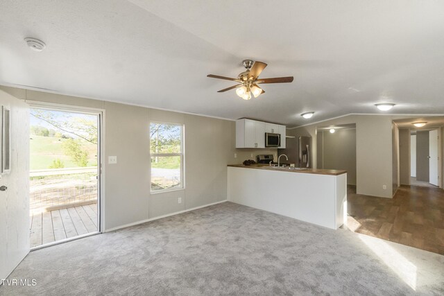 810 Sugar Bowl Rd, Chuckey, TN 37641 - unfurnished living room featuring ceiling fan, vaulted ceiling, carpet floors, a sink, and baseboards