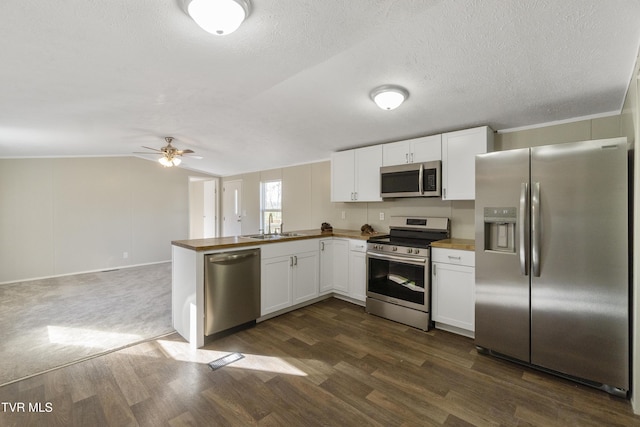 810 Sugar Bowl Rd, Chuckey, TN 37641 - kitchen with a sink, dark wood finished floors, a peninsula, and stainless steel appliances
