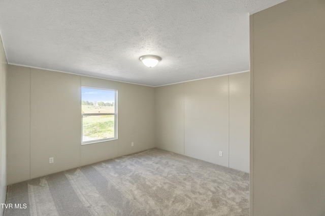 810 Sugar Bowl Rd, Chuckey, TN 37641 - carpeted spare room featuring a textured ceiling