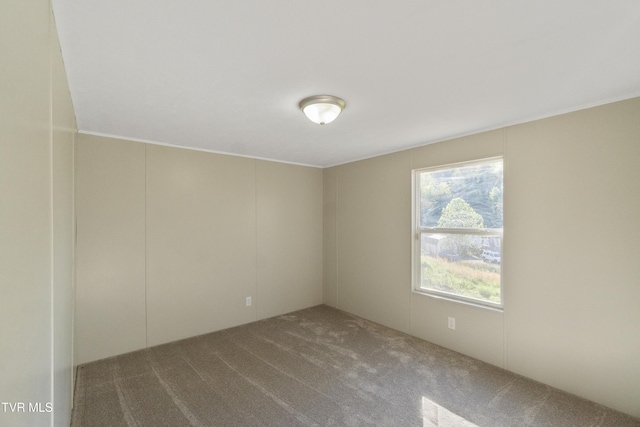 810 Sugar Bowl Rd, Chuckey, TN 37641 - view of carpeted empty room