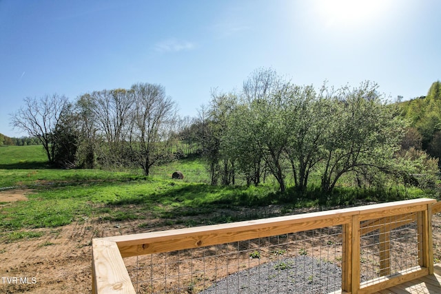 810 Sugar Bowl Rd, Chuckey, TN 37641 - view of yard