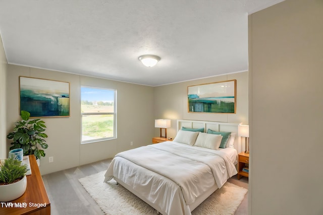 810 Sugar Bowl Rd, Chuckey, TN 37641 - view of carpeted bedroom