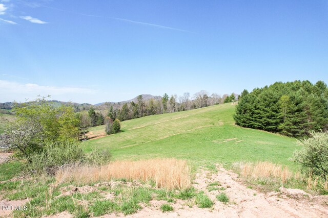 887 Mill Creek Rd, Mountain City, TN 37683 - photo 17