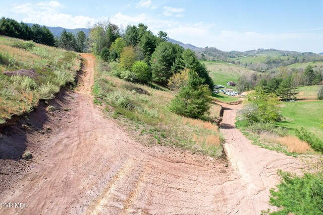 887 Mill Creek Rd, Mountain City, TN 37683 - photo 19