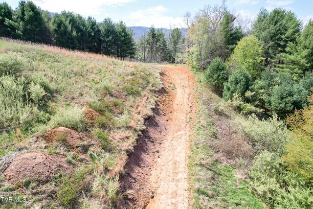 887 Mill Creek Rd, Mountain City, TN 37683 - photo 20