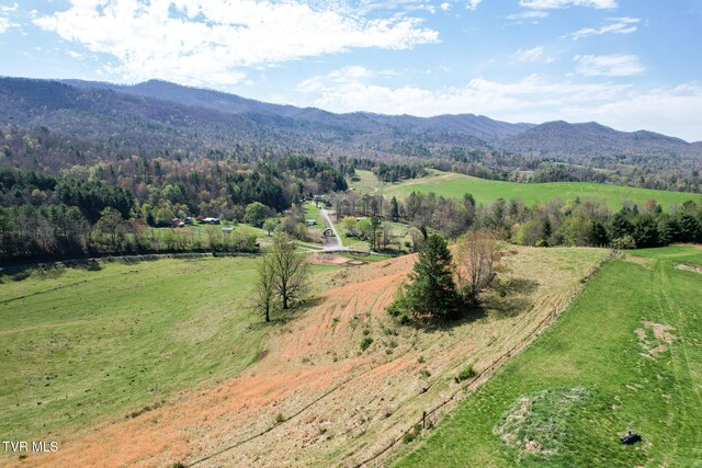 887 Mill Creek Rd, Mountain City, TN 37683 - photo 8