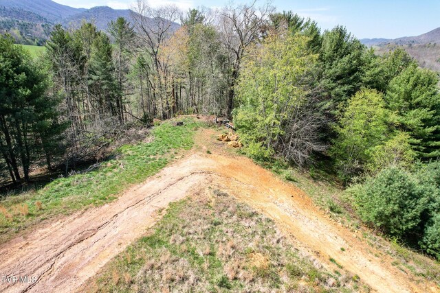 887 Mill Creek Rd, Mountain City, TN 37683 - photo 24